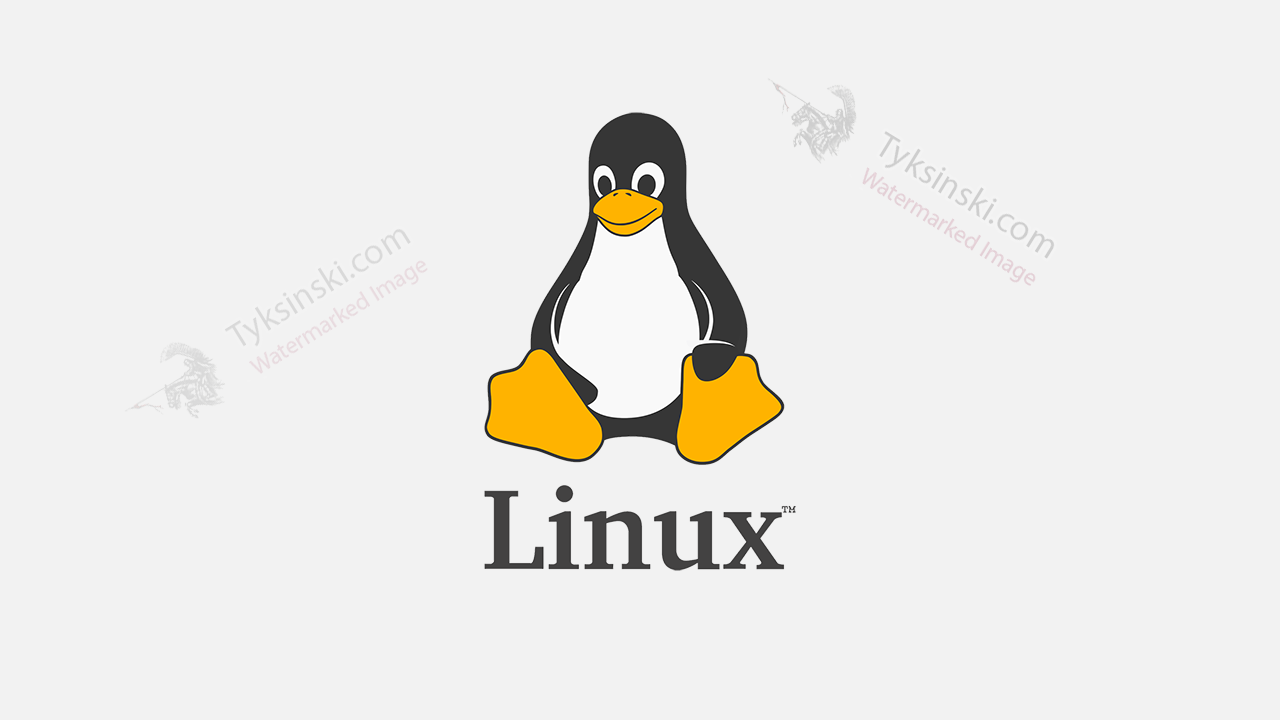 Find the largest file recursively on Linux